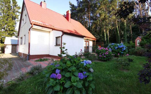 Kębłowo/ dom wolnostojący